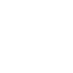 Speedometer symbol